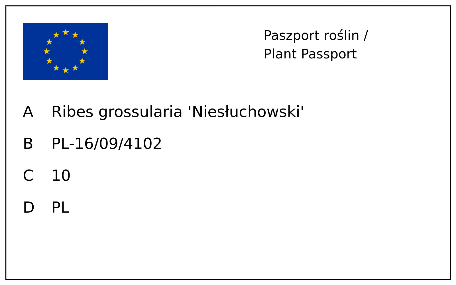Paszport roślin — Agrest 'Niesłuchowski' czerwony krzaczasty; A: Ribes grossularia 'Niesłuchowski'; B: PL-16/09/4102; C: 10; D: PL