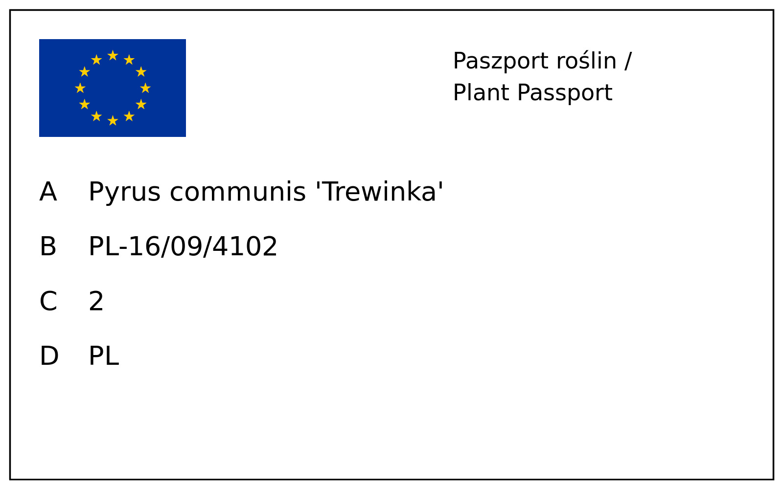 Paszport roślin — Grusza 'Trewinka'; A: Pyrus communis 'Trewinka'; B: PL-16/09/4102; C: 2; D: PL